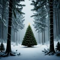 Ai generated content. Enchanted Winter Wonderland Evergreen Forest at Midnight photo