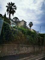 foto de un encantador ladera casa adornado con vistoso flores