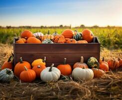 rústico de madera caja lleno con un surtido de calabazas, cada exhibiendo el Rico matices y texturas de el otoño estación. ai generado foto