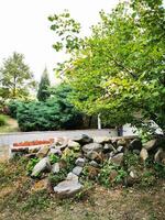 Photo of a pile of rocks next to a tree in a peaceful natural setting