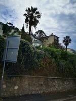 foto de un calle firmar en el lado de un la carretera