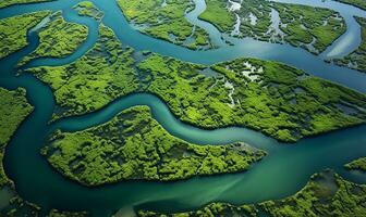 aéreo ver de un río delta presentando lozano verde vegetación y devanado cursos de agua ai generado foto