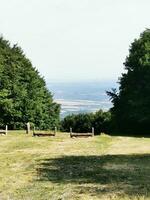 Photo of benches on a lush green field