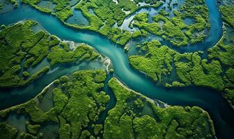 aéreo ver de un río delta presentando lozano verde vegetación y devanado cursos de agua ai generado foto