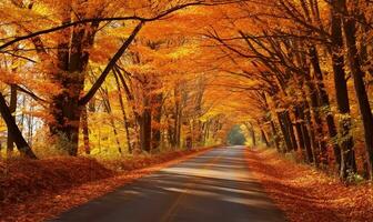 devanado la carretera cubierto por un vibrante tapiz de caído hojas en sombras de naranja, rojo, y oro. alto árboles, con su marquesinas todavía posarse con otoño colores. ai generado foto