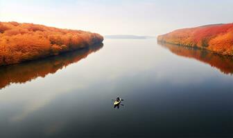 aéreo ver de un persona remo en un calma lago en otoño. ai generado foto