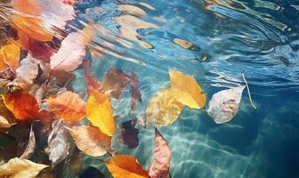 autumn leaves floating gracefully on water. AI Generated photo