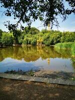 Photo of a serene lake nestled in a lush forest