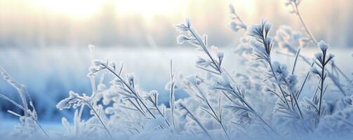 Frozen snowy grass, winter natural abstract background. beautiful winter landscape. AI Generated photo