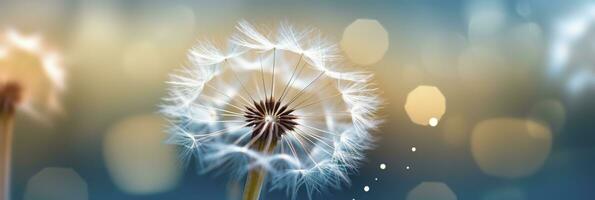 Abstract blurred nature background dandelion seeds parachute. Bokeh pattern. Generative AI photo