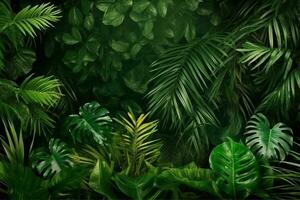 Green tropical monstera leaves, palm leaves and various leaves panoramic background ai generated photo