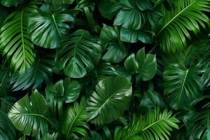 Green tropical monstera leaves, palm leaves and various leaves panoramic background ai generated photo