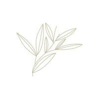 minimalista femenino botánico flor belleza línea planta logo, diseño vector ilustración