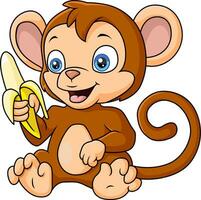 Cute monkey cartoon holding banana vector