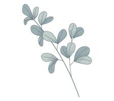 Decorative vector flat twig with leaves. Natural isolated plant design element, sketch style.