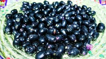 Jambolan plum or Java plum in goldn dish,currants in a plata,Syzygium cumini fruit ,Jambolan plum or Java plum isolated photo