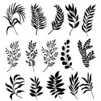 Set of leaves. Hand drawn decorative elements. Vector illustration