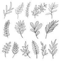 Set of leaves. Hand drawn decorative elements. Vector illustration