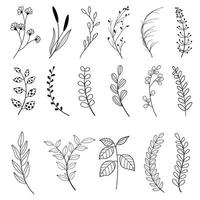 Set of leaves. Hand drawn decorative elements. Vector illustration