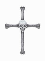 Skull cros bone hand drawing on paper make graphic vector. vector
