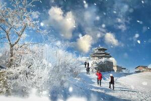 encima el nevadas deogyusan montañas en un claro día y el nieve estropeado por el viento en invierno, sur Corea. foto