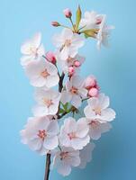 Pink cherry blossoms,pink sakura,beautiful cherry blossoms pastel pink background. Cherry blossoms are beautiful and pleasing to the eye. Makes you feel relaxed like you're in nature. Generative ai photo