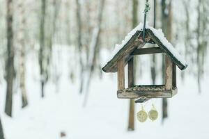 Birdhouse and bird feeder in winter park photo