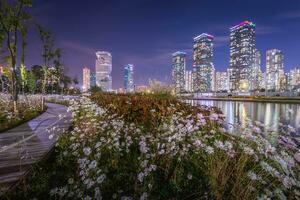 White flowers and beautiful night view at Songdo Central Park in Songdo  District, Incheon South Korea. photo