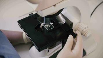 médico assistindo microscópio. laboratório dentro a hospital. video