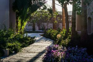 warm light in the morning in a resort with lot of plants photo