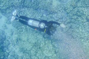 joven hembra buzo a el fondo desde el mar con claro agua durante buceo foto