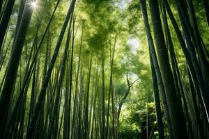 Bright Sunlight Filtering Through Bamboo forest AI Generative photo