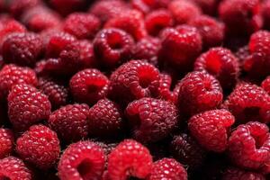 juicy red raspberry background texture photo