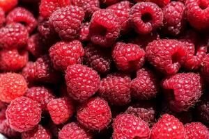delicious juicy red raspberry background texture photo
