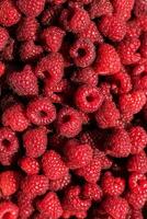 background juicy red raspberry texture photo