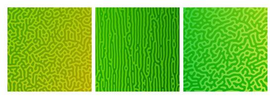 Set of three green turing reaction gradient backgrounds. Abstract diffusion pattern with chaotic shapes. Vector illustration.