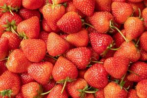 Fresh organic red strawberry fruit background photo