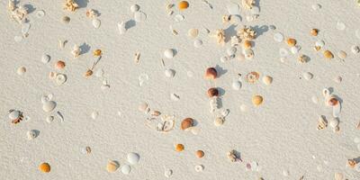 A bird eye view of the sand beach background with shells and starfish scattered on the left and right sides of the picture photo