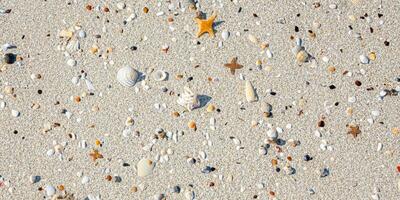 A bird eye view of the sand beach background with shells and starfish scattered on the left and right sides of the picture photo