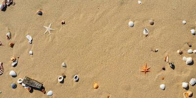 A bird eye view of the sand beach background with shells and starfish scattered on the left and right sides of the picture photo