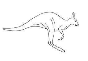 Vector hand drawn sketch doodle kangaroo