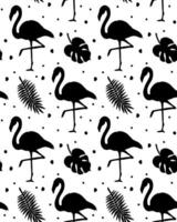 Vector seamless pattern of flamingo silhouette