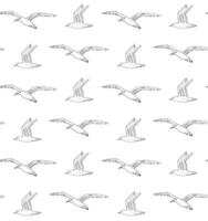 Vector seamless pattern of flying sea gull