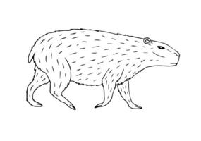 Vector hand drawn sketch capybara