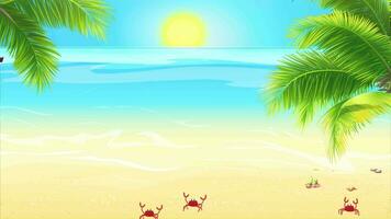 Beautiful beach. Summer vacation and vacation concept for tourism video