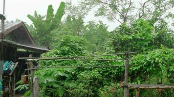 esso era pioggia e il cielo era nuvoloso a il campagna giardino Casa nel il province. Là erano verde alberi in giro il Casa video