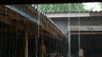 isto estava chovendo pesadamente e água estava fluindo a partir de a telhados do rural casas.tempestade dentro Tailândia causando pesado chuva, uma muitos do água a partir de a chuva fluxos a partir de a cobertura video