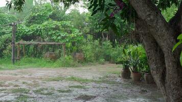 It was raining and the sky was overcast at the countryside garden house in the provinces. There were green trees around the house video