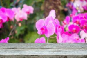 Empty wood table top with blur orchid garden background for product display photo
