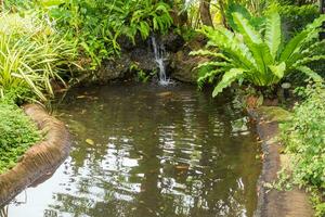 Beautiful tropical garden pond photo